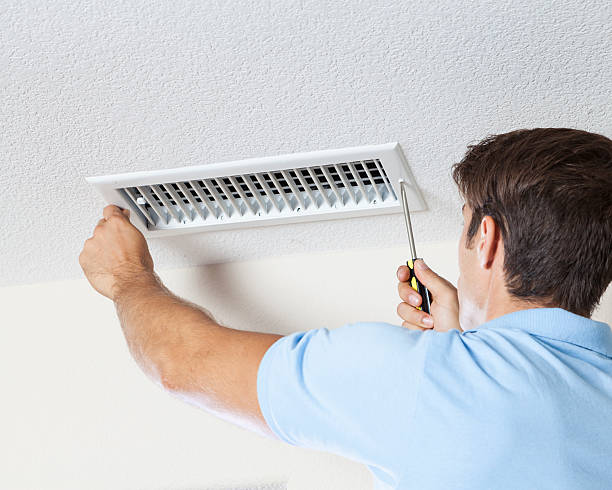 Laurel Springs, NJ Mold Removal Company